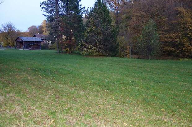 Grundstück kaufen in 3413 Hintersdorf (Bild 3)