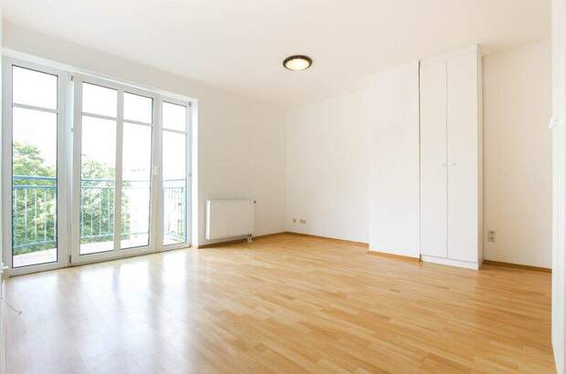 Terrassenwohnung mieten in 1190 Wien (Bild 1)