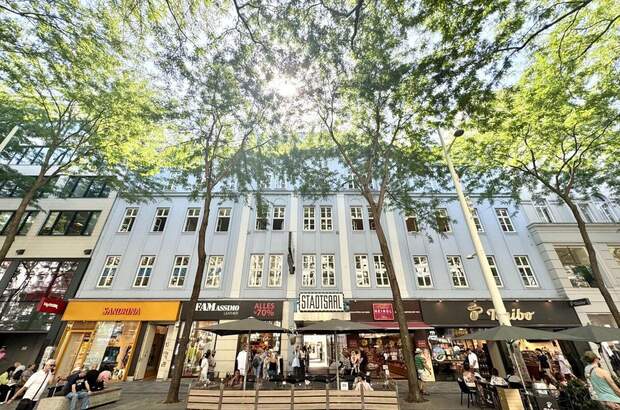 Gewerbeobjekt mieten in 1060 Wien (Bild 2)
