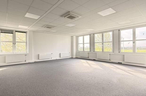 Gewerbeobjekt mieten in 2320 Schwechat (Bild 2)