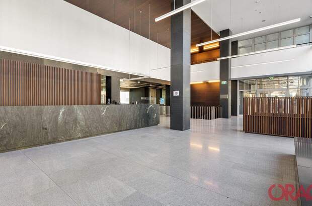 Gewerbeobjekt mieten in 1220 Wien (Bild 3)