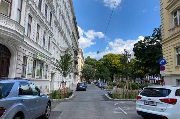 Altbauwohnung kaufen in 1090 Wien (Bild 3)