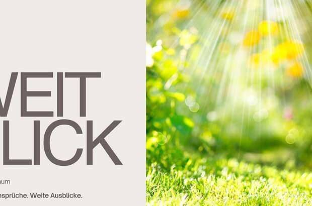 Haus kaufen in 4641 Steinhaus (Bild 5)