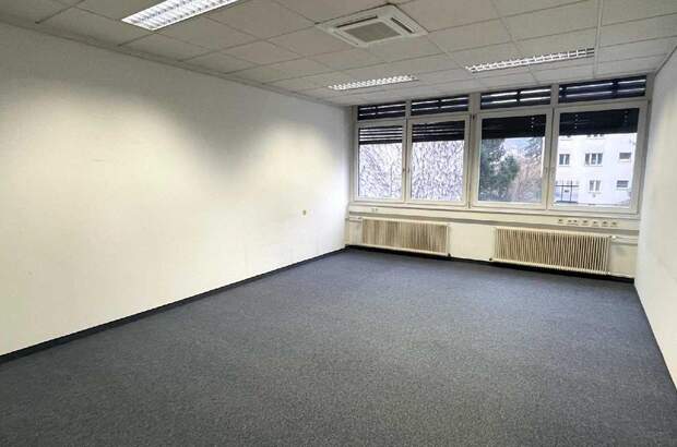 Gewerbeobjekt mieten in 11130 Wien (Bild 4)