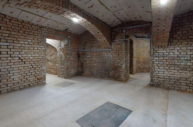 Gewerbeobjekt mieten in 1100 Wien (Bild 2)