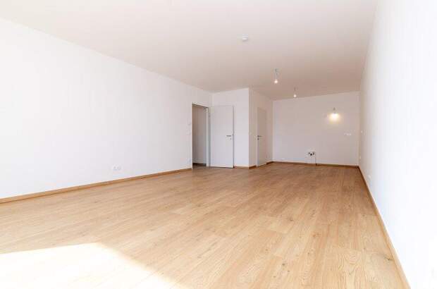 Terrassenwohnung mieten in 3250 Wieselburg (Bild 3)