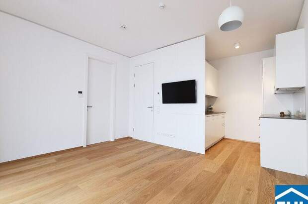 Terrassenwohnung mieten in 1030 Wien (Bild 3)