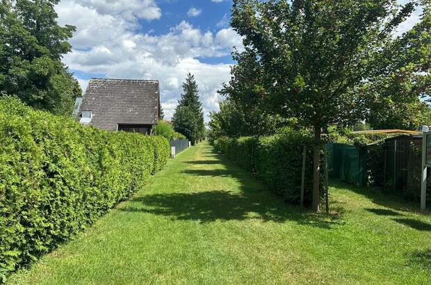 Haus mit Garten kaufen in 2491 Neufeld (Bild 5)