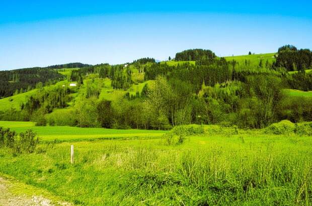 Gewerbeobjekt kaufen in 9462 Bad St. Leonhard (Bild 1)