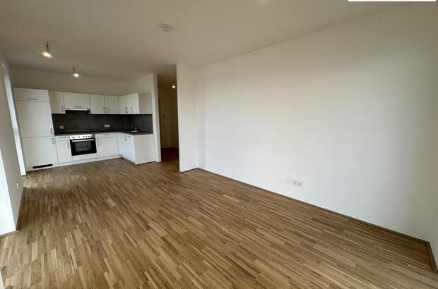 Terrassenwohnung mieten in 3100 St. Pölten (Bild 2)