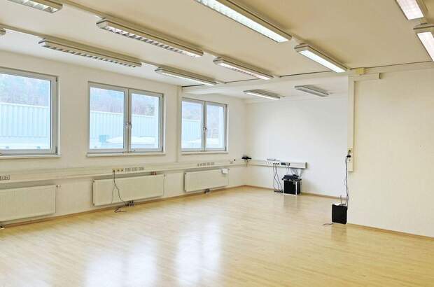 Gewerbeobjekt mieten in 3021 Pressbaum (Bild 4)