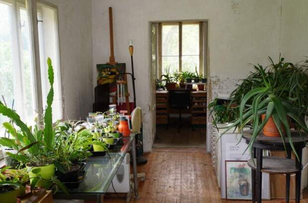 Altbauwohnung kaufen in 3002 Purkersdorf (Bild 3)