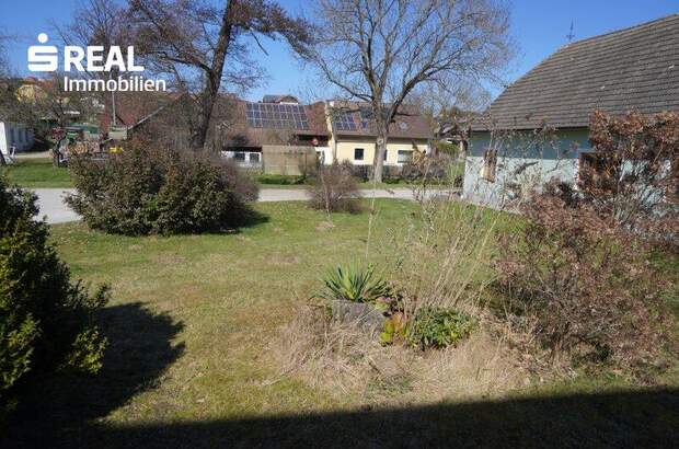 Haus kaufen in 3533 Friedersbach (Bild 5)
