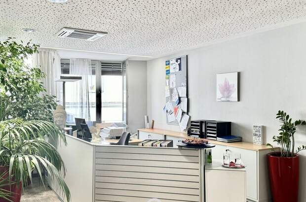 Gewerbeobjekt mieten in 1150 Wien (Bild 2)