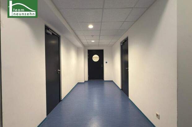 Büro / Praxis mieten in 2326 Maria (Bild 5)