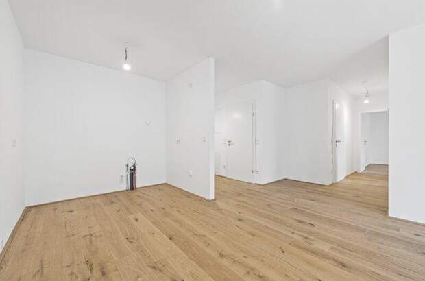 Terrassenwohnung kaufen in 2540 Bad Vöslau (Bild 5)