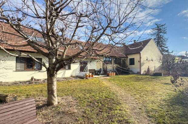 Haus kaufen in 2284 Untersiebenbrunn (Bild 1)