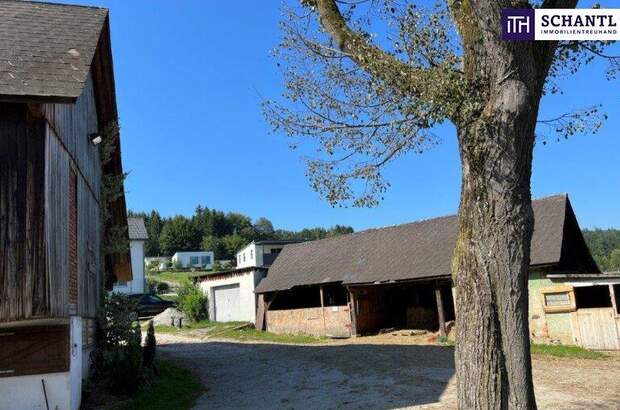 Immobilie kaufen in 8570 Voitsberg (Bild 3)