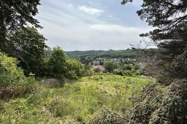 Grundstück kaufen in 3400 Klosterneuburg