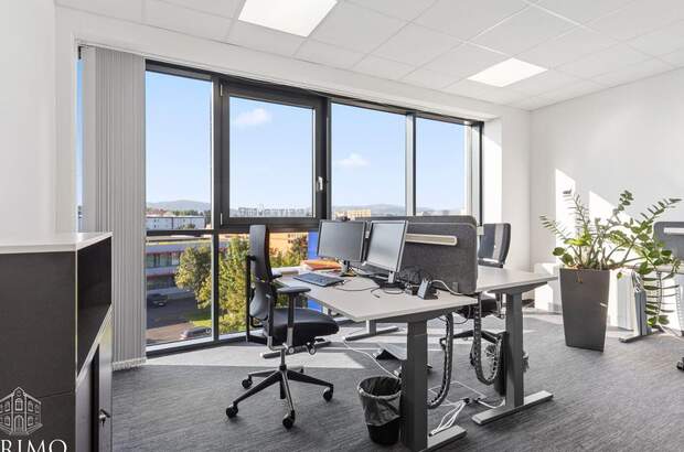 Gewerbeobjekt mieten in 4060 Leonding (Bild 3)