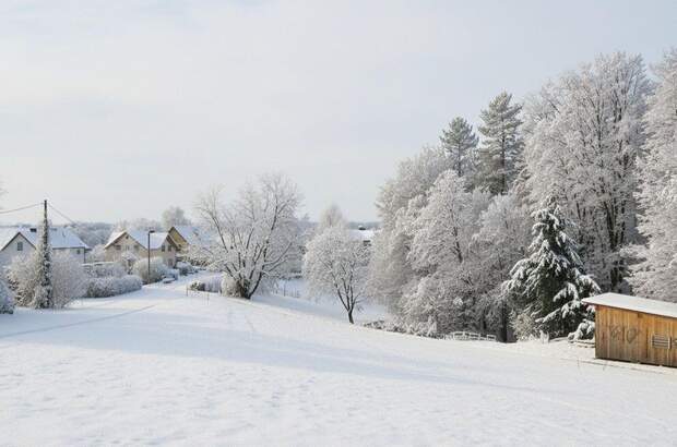 Grundstück kaufen in 8503 Sankt Josef (Bild 3)