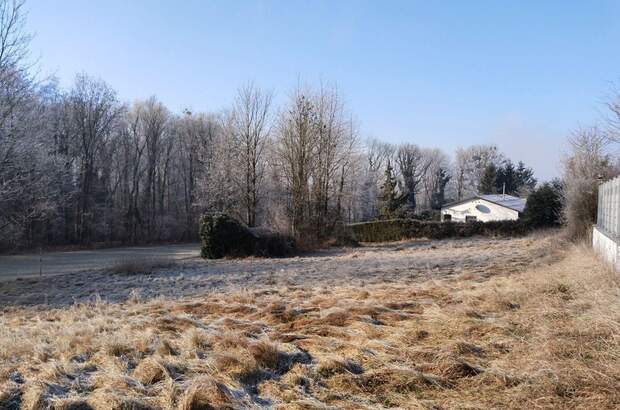 Grundstück kaufen in 4073 Wilhering (Bild 3)