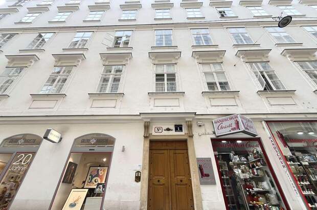 Altbauwohnung kaufen in 1010 Wien (Bild 3)