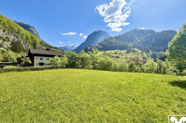 Grundstück kaufen in 5093 Weißbach (Bild 1)