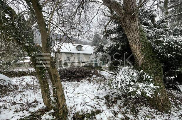 Grundstück kaufen in 2754 Waldegg (Bild 1)