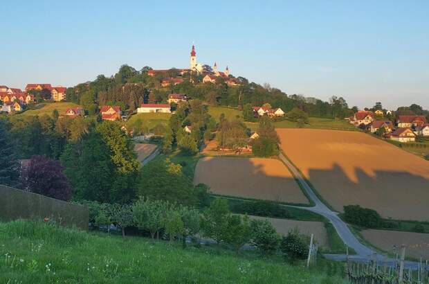 Grundstück kaufen in 8345 Straden (Bild 5)
