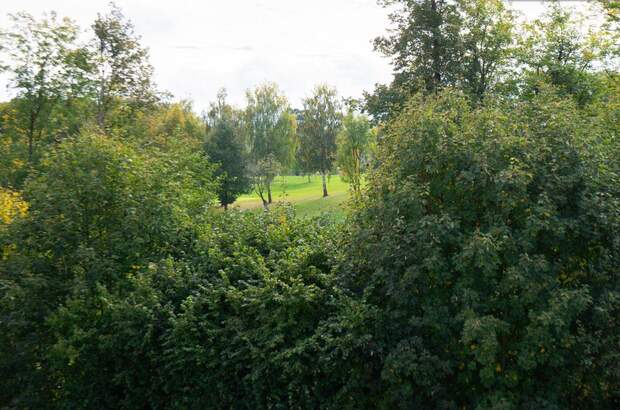 Haus kaufen in 4540 Bad Hall (Bild 4)