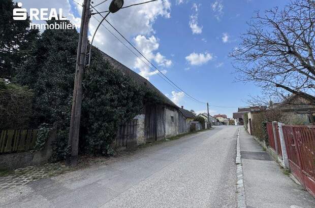 Grundstück kaufen in 3424 Zeiselmauer (Bild 4)