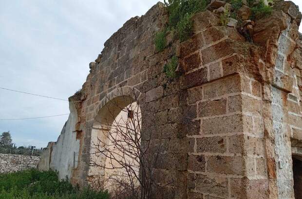 Haus mit Garten kaufen (Bild 3)