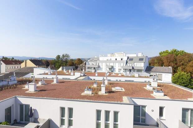 Wohnung mit Balkon mieten in 2100 Korneuburg (Bild 1)