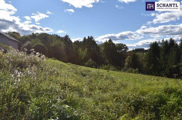 Grundstück kaufen in 8301 Laßnitzhöhe (Bild 5)