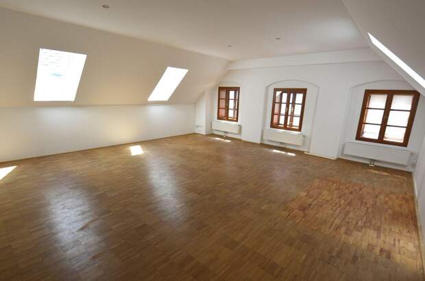 Haus kaufen in 3500 Krems (Bild 1)