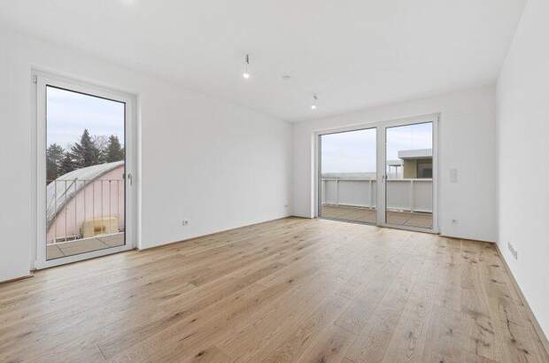 Terrassenwohnung kaufen in 2540 Bad Vöslau (Bild 3)