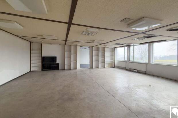 Gewerbeobjekt mieten in 4880 Stöttham (Bild 4)