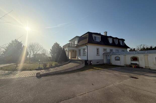 Haus mit Garten kaufen in 2423 Deutsch Jahrndorf (Bild 4)