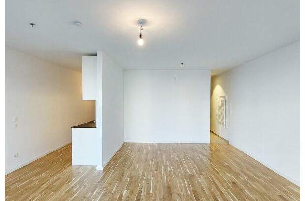 Terrassenwohnung mieten in 1100 Wien (Bild 2)
