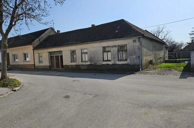 Haus mit Garten kaufen in 7142 Illmitz (Bild 3)