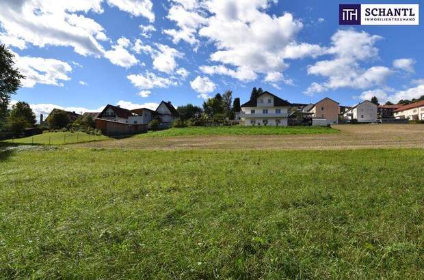 Grundstück kaufen in 8524 Bad Gams (Bild 1)