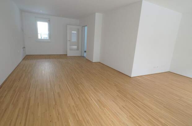 Reihenhaus mieten in 2842 Edlitz (Bild 5)