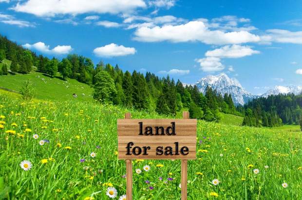 Grundstück kaufen in 5571 Mariapfarr (Bild 1)