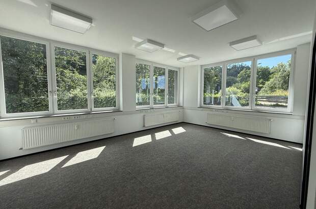 Gewerbeobjekt mieten in 8200 Gleisdorf (Bild 1)