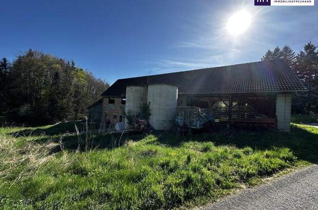 Grundstück kaufen in 8463 Fötschach (Bild 5)