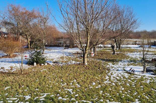 Wohnanlage kaufen in 3254 Bergland (Bild 5)