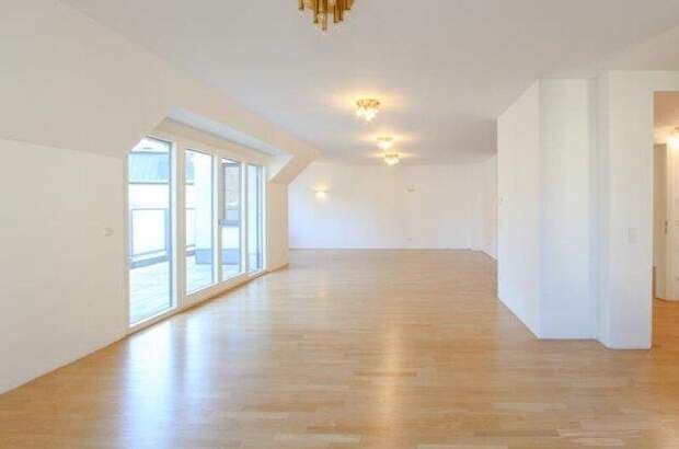 Terrassenwohnung mieten in 1190 Wien (Bild 2)