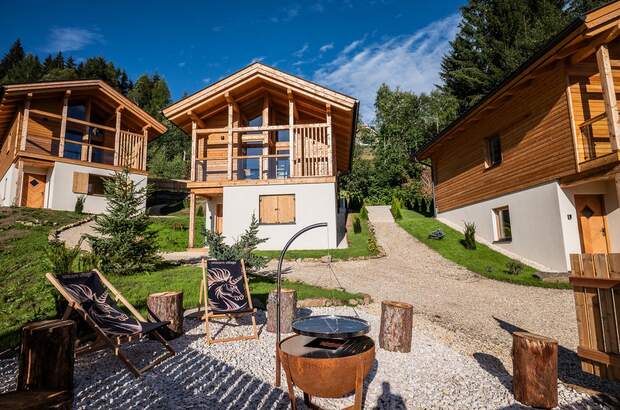 Wohnanlage kaufen in 9431 St. Stefan (Bild 1)