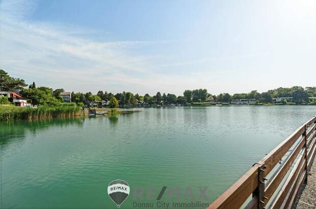 Sportanlage kaufen in 1220 Wien (Bild 4)